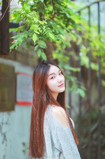 2019 最好看的中文大全在哪看？必看的精彩都在这里啦！